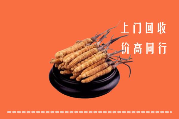 巴中高价冬虫夏草回收多少钱每克