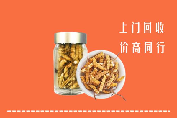 高价求购：巴中回收冬虫夏草