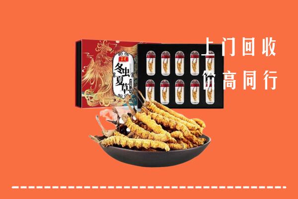高价求购：巴中回收虫草